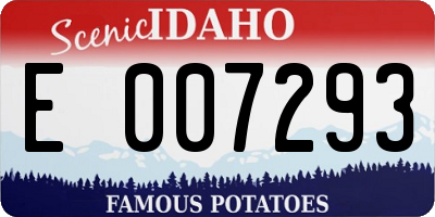 ID license plate E007293