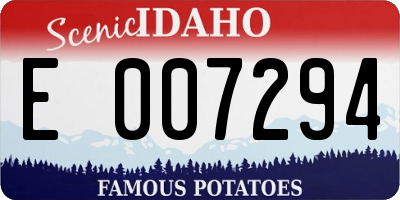 ID license plate E007294