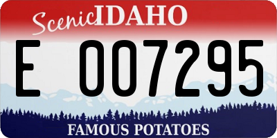 ID license plate E007295