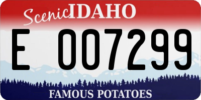 ID license plate E007299