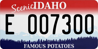 ID license plate E007300