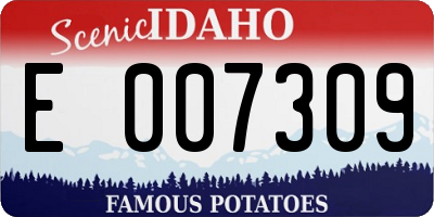 ID license plate E007309