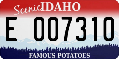 ID license plate E007310