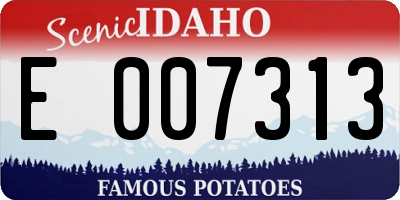 ID license plate E007313