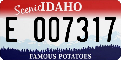 ID license plate E007317