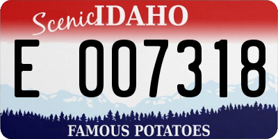 ID license plate E007318