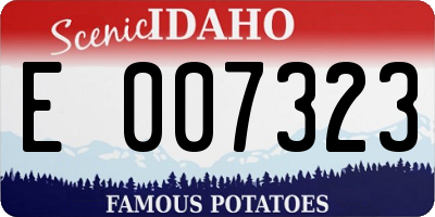 ID license plate E007323