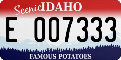 ID license plate E007333