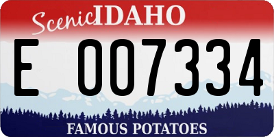 ID license plate E007334