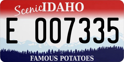 ID license plate E007335