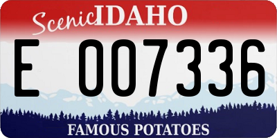 ID license plate E007336