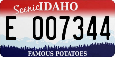 ID license plate E007344