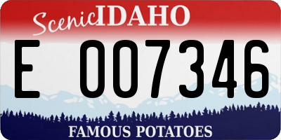 ID license plate E007346