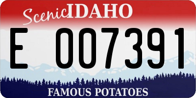 ID license plate E007391