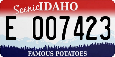 ID license plate E007423