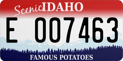 ID license plate E007463