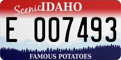 ID license plate E007493