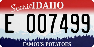 ID license plate E007499