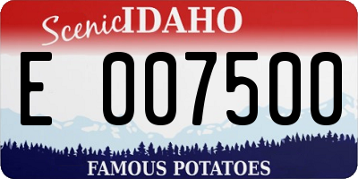 ID license plate E007500