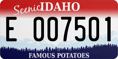 ID license plate E007501