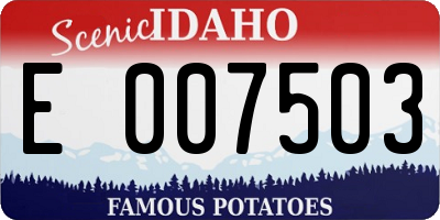 ID license plate E007503