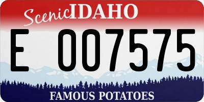 ID license plate E007575
