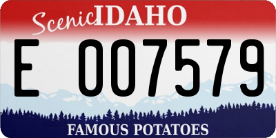 ID license plate E007579