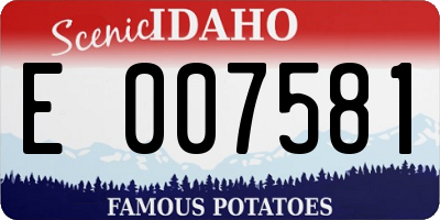 ID license plate E007581