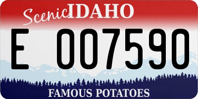 ID license plate E007590