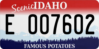 ID license plate E007602
