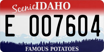 ID license plate E007604