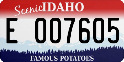 ID license plate E007605