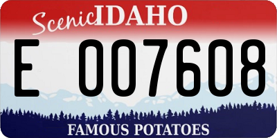 ID license plate E007608