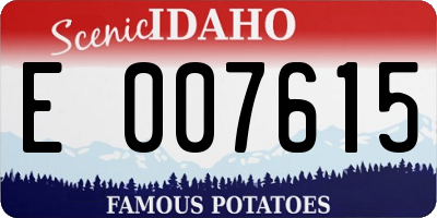 ID license plate E007615