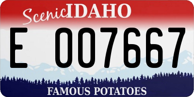 ID license plate E007667