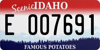 ID license plate E007691