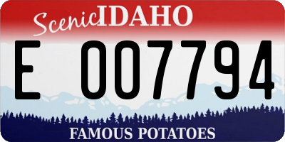 ID license plate E007794