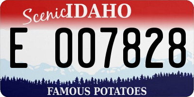 ID license plate E007828