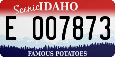 ID license plate E007873