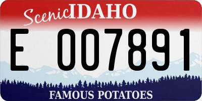 ID license plate E007891