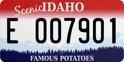 ID license plate E007901