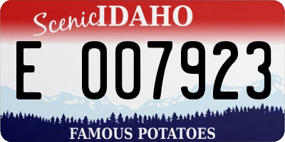 ID license plate E007923