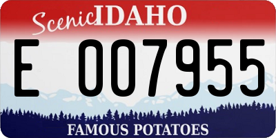 ID license plate E007955