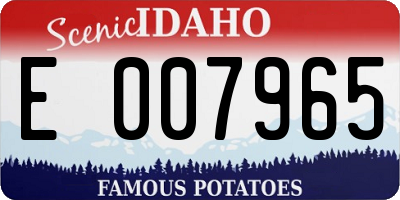 ID license plate E007965