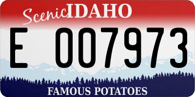 ID license plate E007973