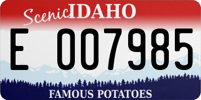ID license plate E007985