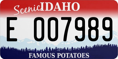 ID license plate E007989