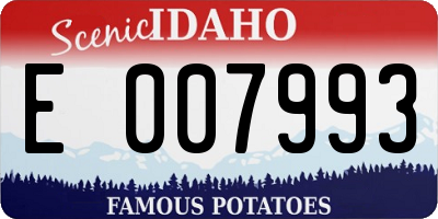 ID license plate E007993