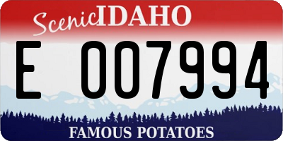 ID license plate E007994