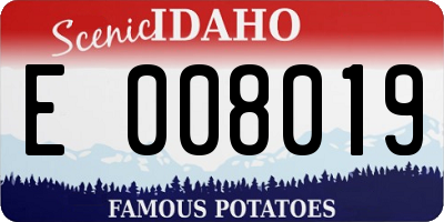 ID license plate E008019